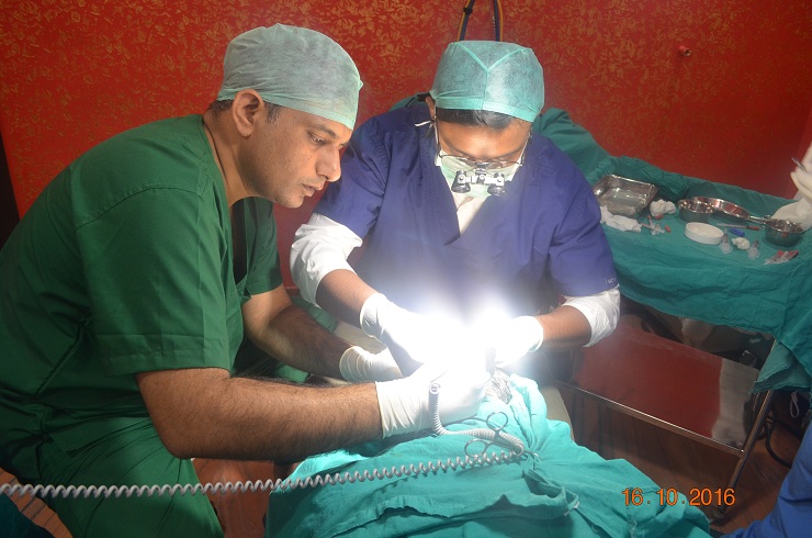 hair transplant in india